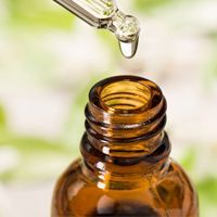 Fragrance Oil Fragrance Oil